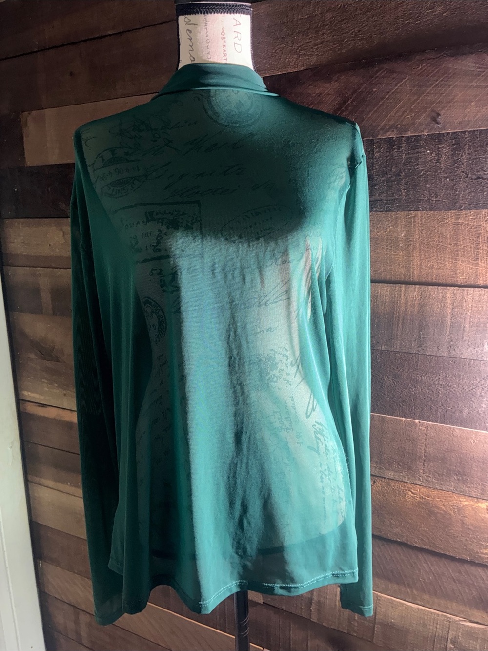 Women's Sheer Teal Long-Sleeve Top